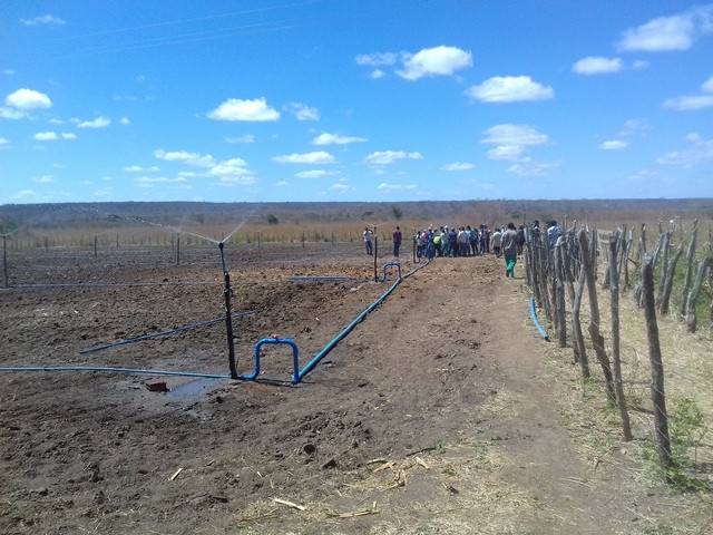 Colônia do Piauí recebe o Projeto “Sertão Irrigado”  - Imagem 75