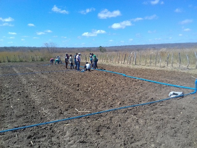 Colônia do Piauí recebe o Projeto “Sertão Irrigado”  - Imagem 52