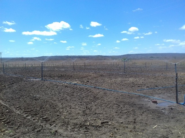 Colônia do Piauí recebe o Projeto “Sertão Irrigado”  - Imagem 76