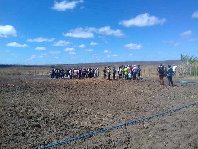 Colônia do Piauí recebe o Projeto “Sertão Irrigado”  - Imagem 27