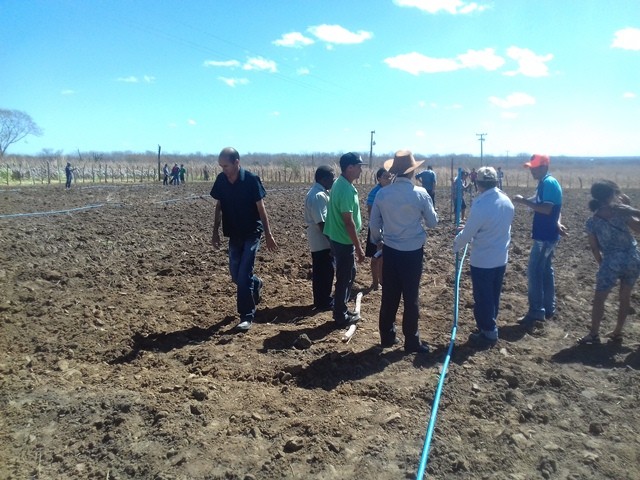 Colônia do Piauí recebe o Projeto “Sertão Irrigado”  - Imagem 50