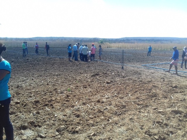 Colônia do Piauí recebe o Projeto “Sertão Irrigado”  - Imagem 33