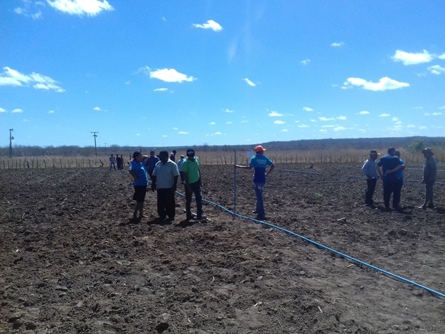 Colônia do Piauí recebe o Projeto “Sertão Irrigado”  - Imagem 60