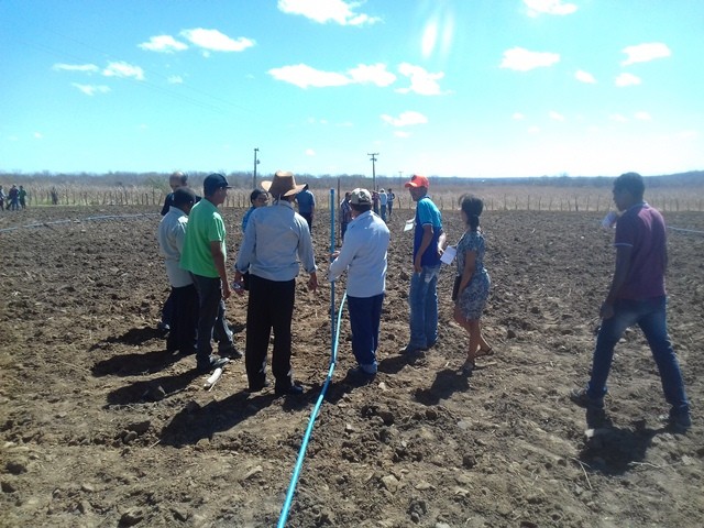 Colônia do Piauí recebe o Projeto “Sertão Irrigado”  - Imagem 49