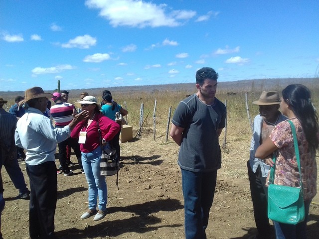 Colônia do Piauí recebe o Projeto “Sertão Irrigado”  - Imagem 40