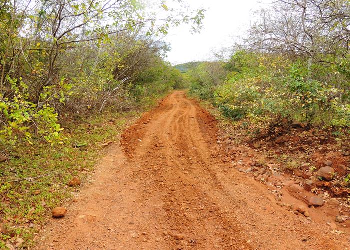 Município intensifica ações em estrada e esporte na zona rural  - Imagem 6