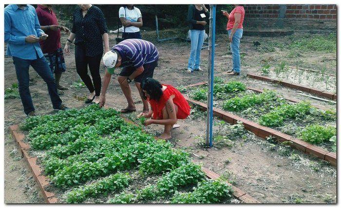 Profissionais faz acompanhamento da Horta Terapêutica  - Imagem 1