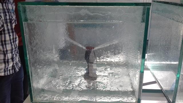 Oeiras e região ganha nova loja especializada em irrigação. - Imagem 5