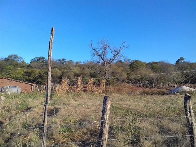 UESPI de Picos realiza curso de fotografia - Imagem 158