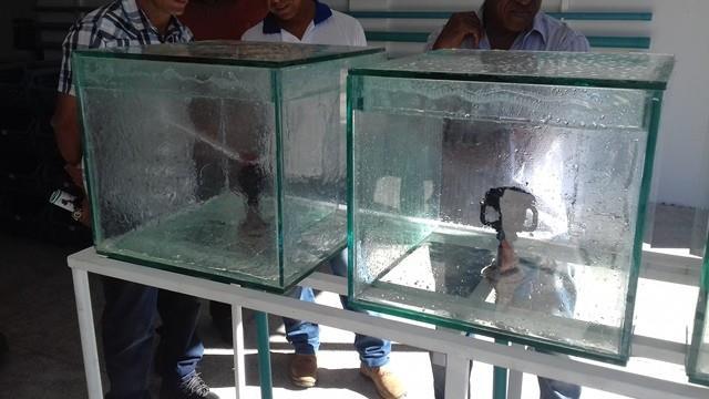 Oeiras e região ganha nova loja especializada em irrigação. - Imagem 4