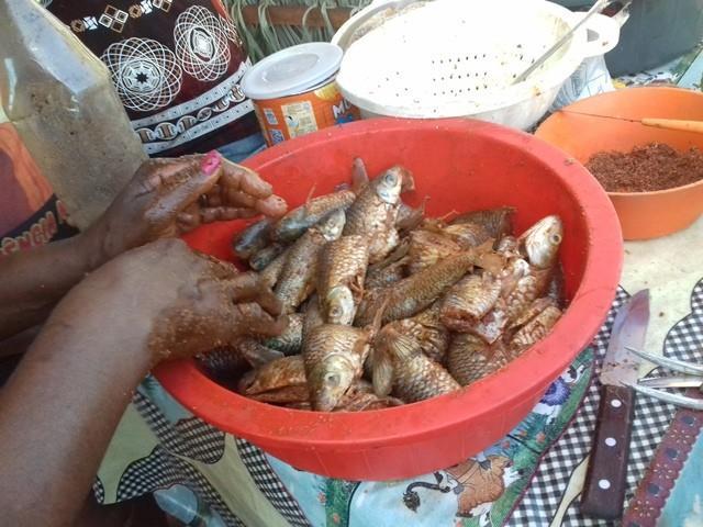 UESPI de Picos realiza curso de fotografia - Imagem 150