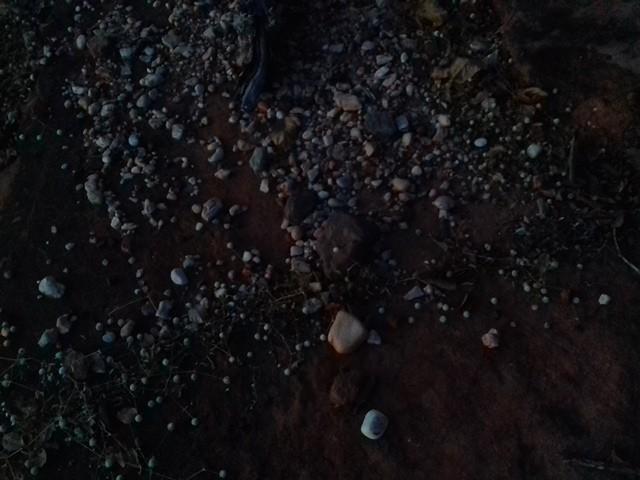 UESPI de Picos realiza curso de fotografia - Imagem 180