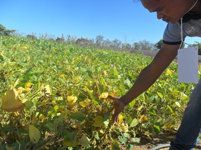 Prefeito participa do 1° Dia do Agricultor  - Imagem 21