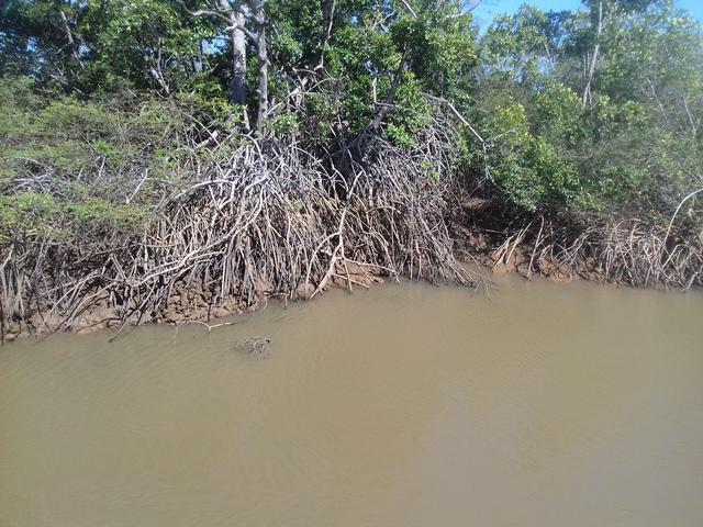 Gravações de O Morro Assombrado em Parnaíba - Imagem 30