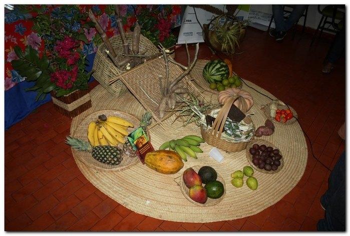 Curso de Formação- Projeto Viva o Semiárido - Imagem 32