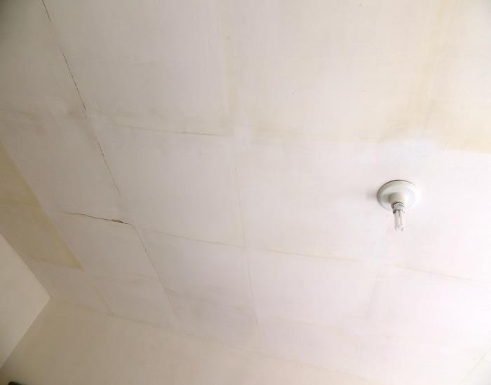 Município realiza ações na comunidade Palmeira dos Soares e região  - Imagem 25