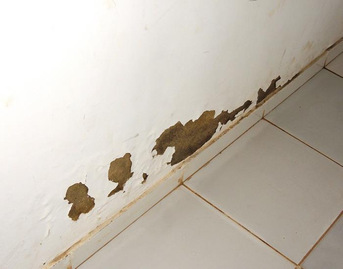 Município realiza ações na comunidade Palmeira dos Soares e região  - Imagem 31