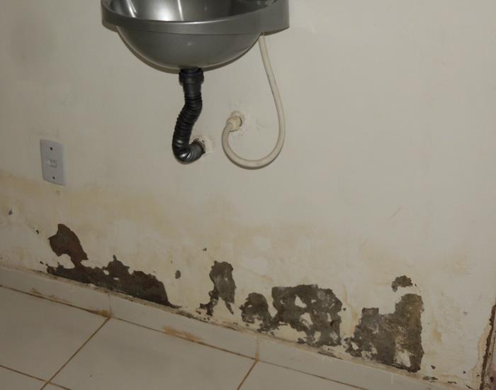 Município realiza ações na comunidade Palmeira dos Soares e região  - Imagem 30