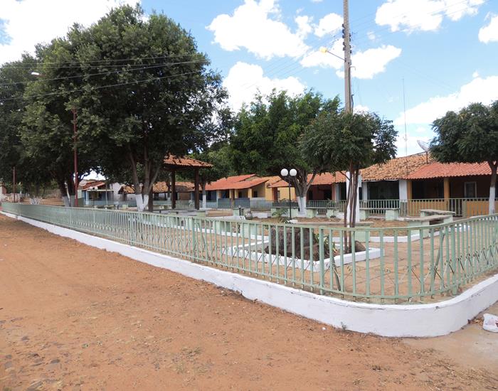 Município realiza ações na comunidade Palmeira dos Soares e região  - Imagem 5