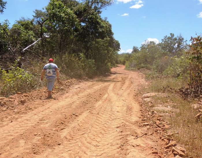 Município realiza ações na comunidade Palmeira dos Soares e região  - Imagem 8