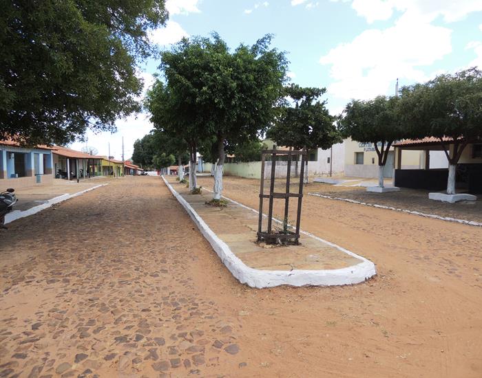 Município realiza ações na comunidade Palmeira dos Soares e região  - Imagem 3