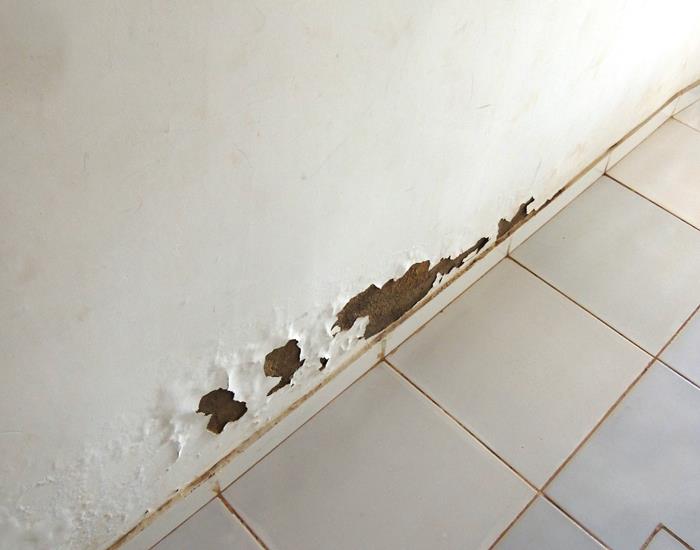 Município realiza ações na comunidade Palmeira dos Soares e região  - Imagem 29