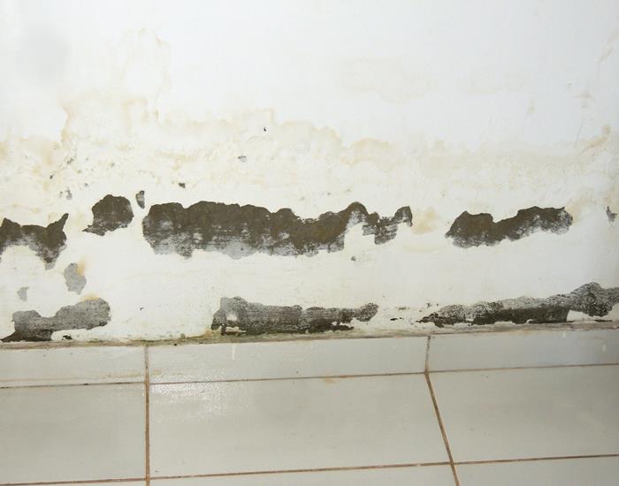 Município realiza ações na comunidade Palmeira dos Soares e região  - Imagem 32