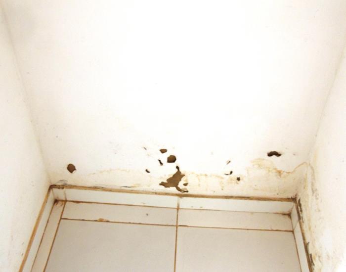 Município realiza ações na comunidade Palmeira dos Soares e região  - Imagem 28