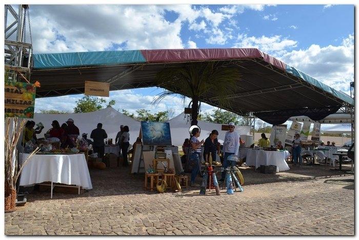 Inhuma participa da 3ª Feira Territorial da Agricultura Familiar - Imagem 9