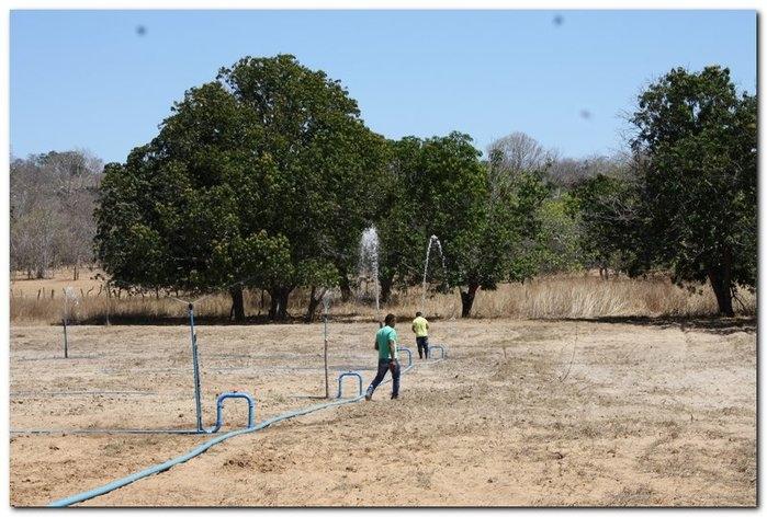 COFIR em parceria com a Prefeitura de Inhuma entrega Kits - Imagem 38