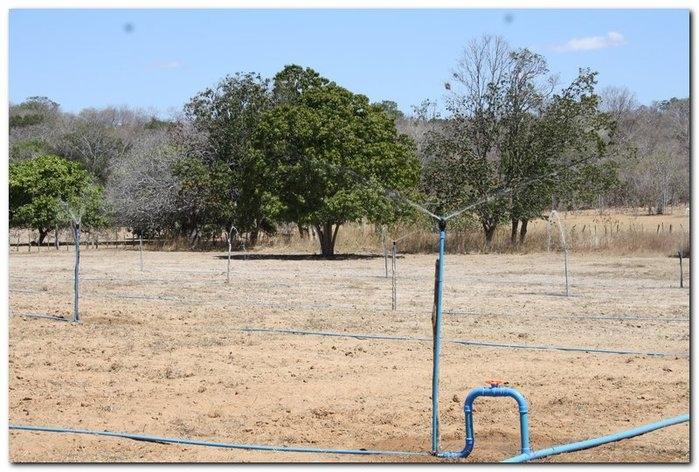 COFIR em parceria com a Prefeitura de Inhuma entrega Kits - Imagem 39