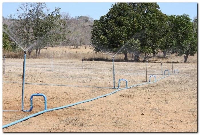 COFIR em parceria com a Prefeitura de Inhuma entrega Kits - Imagem 40