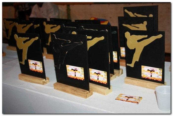 Inhuma sediou o 27º Campeonato Piauiense de Karatê - Imagem 54