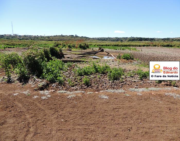 Fotos: Açude Joana agoniza e pede socorro - Imagem 9