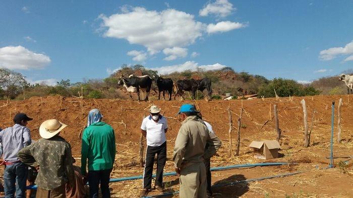 Secretária de Agricultura e SENAR realizam curso de Irrigação - Imagem 13