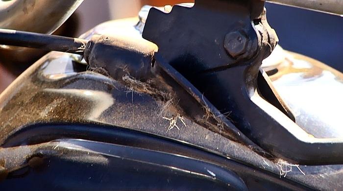 Pelos de animal encontrados na maneta da moto.  (Crédito: Kairo Amaral)