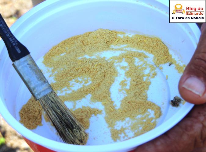 Pólen que é retirado de uma flor e colocado na outra flor para haver a fecundação (Crédito: Edinardo Pinto)