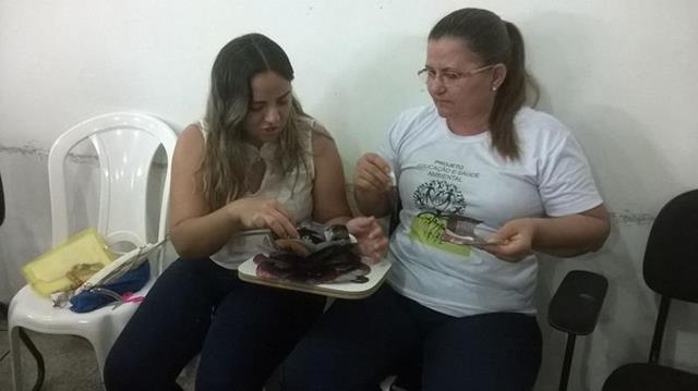 2ª etapa do Projeto Educação e Saúde Ambiental é realizada  - Imagem 7