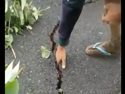 Região de São Luís (Crédito: Reprodução)