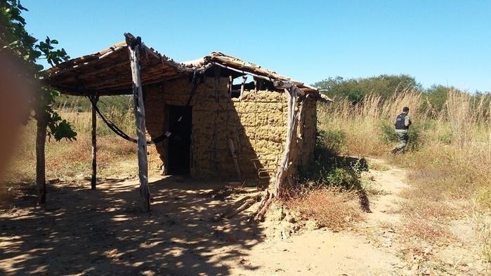 casebre utilizado pelos elementos (Crédito: Ronaldo Figueiredo )