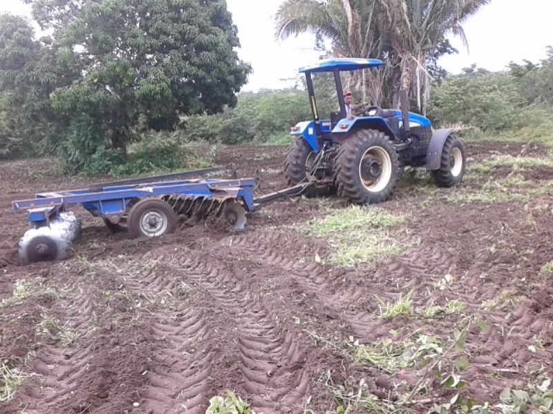 Prefeitura de Pedro II prepara terras de agricultores familiares para o plantio - Imagem 2