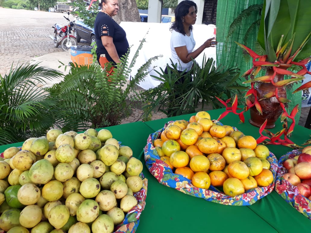 Rally Piocerá em Monsenhor Gil  - Imagem 11