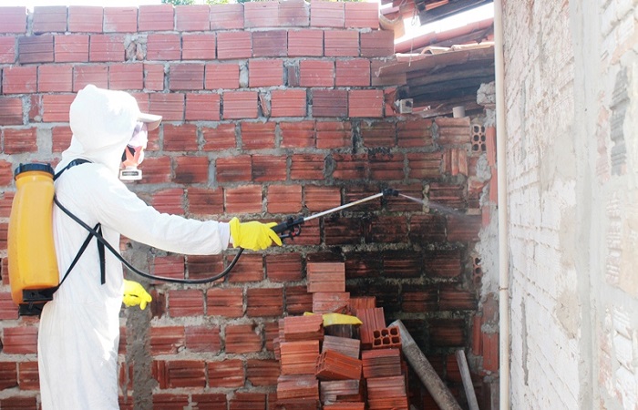 Saúde intensifica ações de combate ao Aedes aegypti e Flebótomo