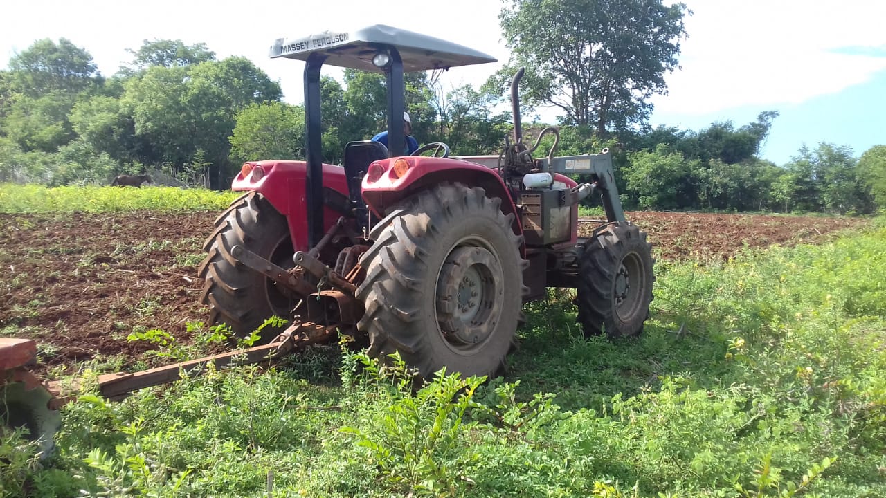 Agricultura familiar recebe apoio da prefeitura - Imagem 2