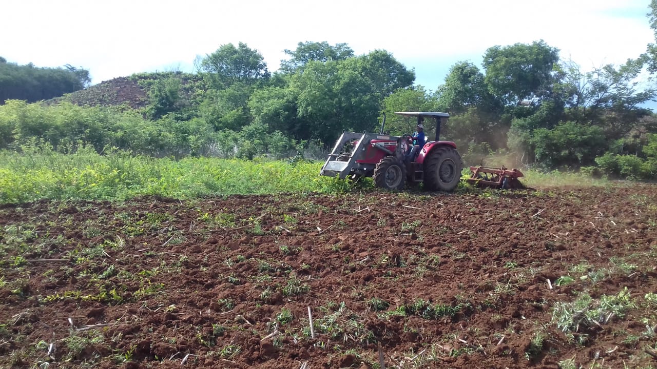 Agricultura familiar recebe apoio da prefeitura - Imagem 3