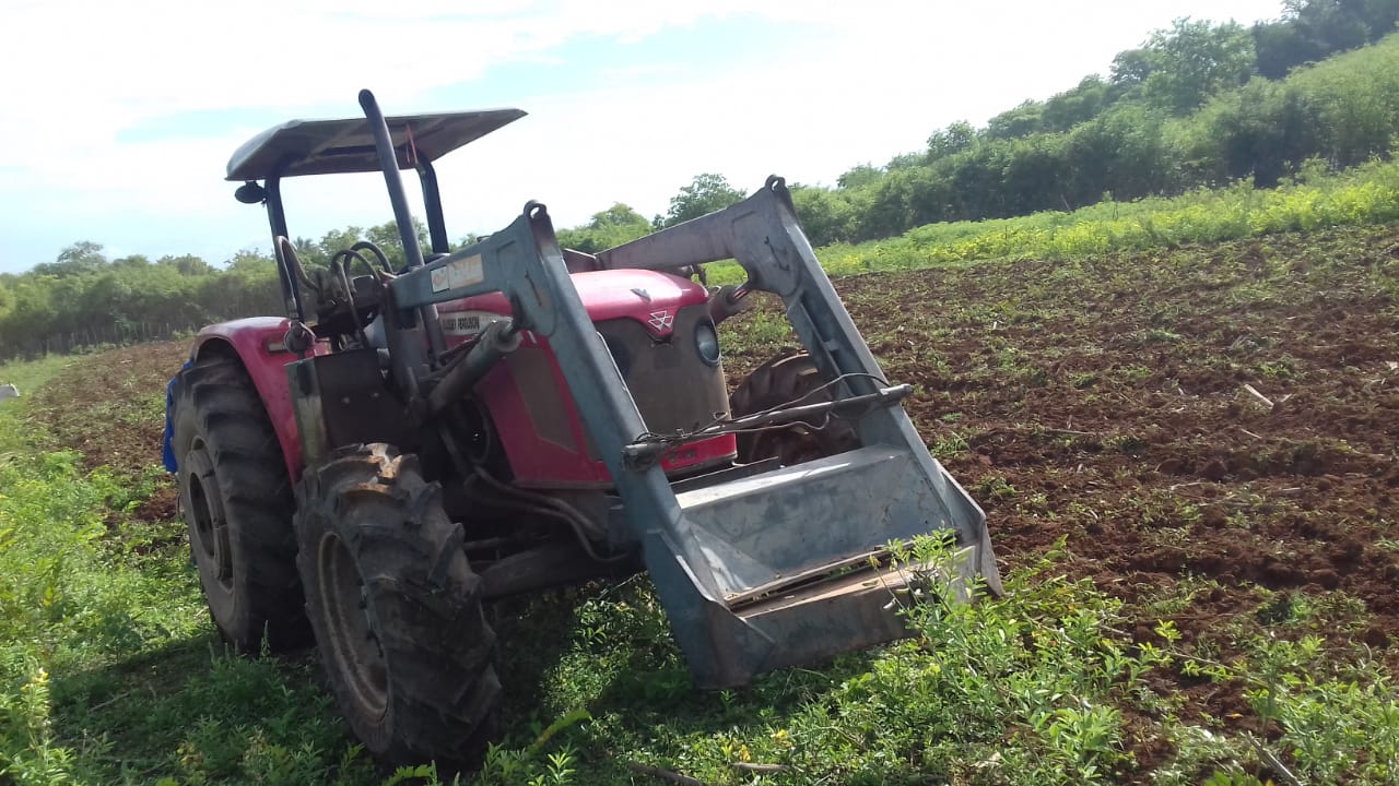 Agricultura familiar recebe apoio da prefeitura 