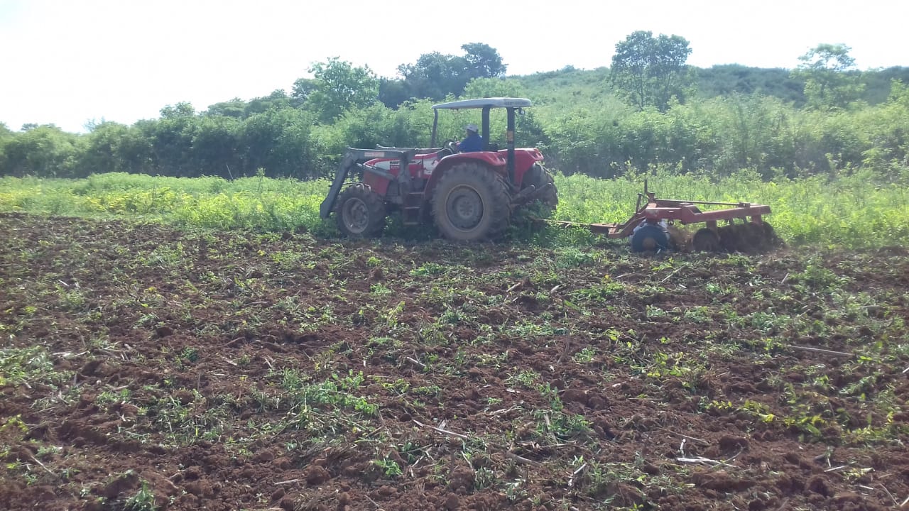 Agricultura familiar recebe apoio da prefeitura - Imagem 1