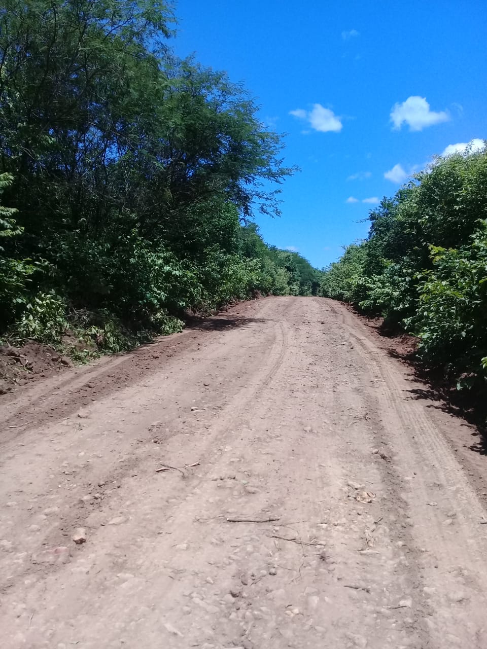 Estradas vicinais recebem melhorias pela prefeitura de Monsenhor Gil - Imagem 4