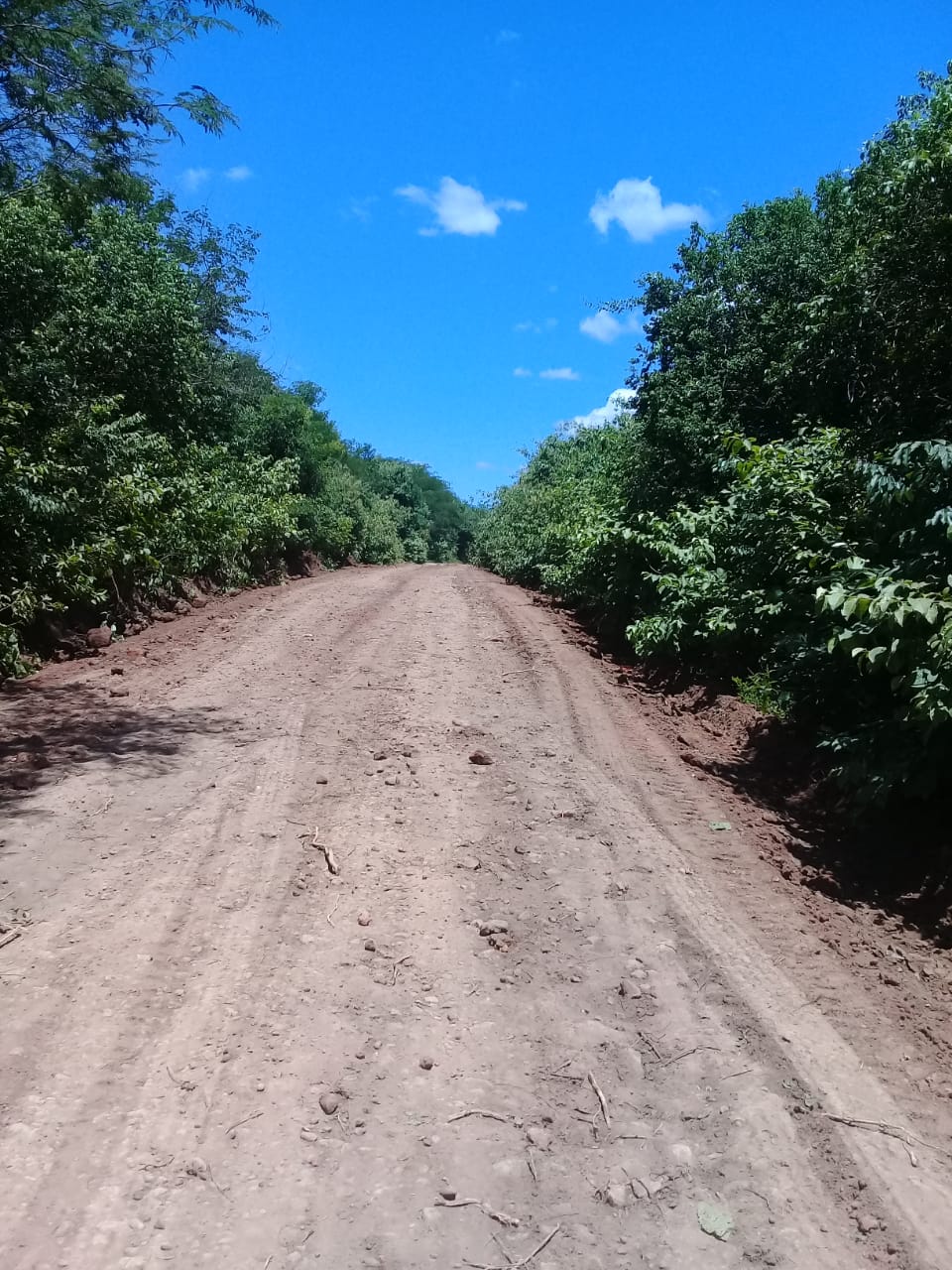 Estradas vicinais recebem melhorias pela prefeitura de Monsenhor Gil 