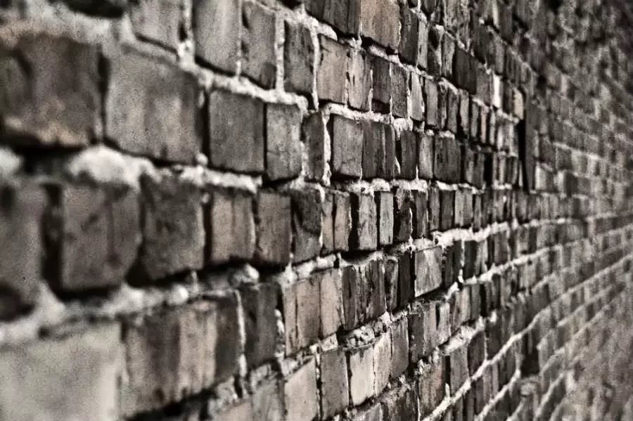 Defeitos de cada signo: exagerado, orgulhoso, ciumento? Descubra o seu - imagem 7785